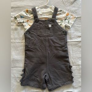 Carters 24 months Dinosaur overalls